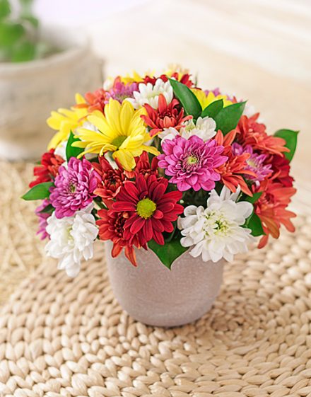 Rock The Daisies Vase