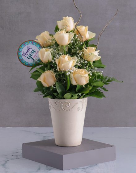 Cream Roses Of Gratitude