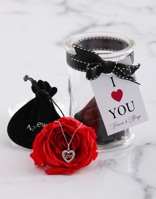 Silver Necklace And Iluba Rose Gift Set
