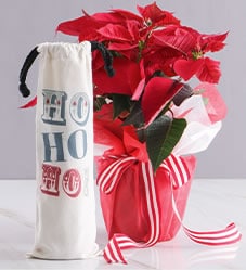 Best Christmas Gifts South Africa 2020 1000 Gift Ideas