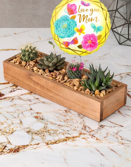 Mothers Day Succulent Tray