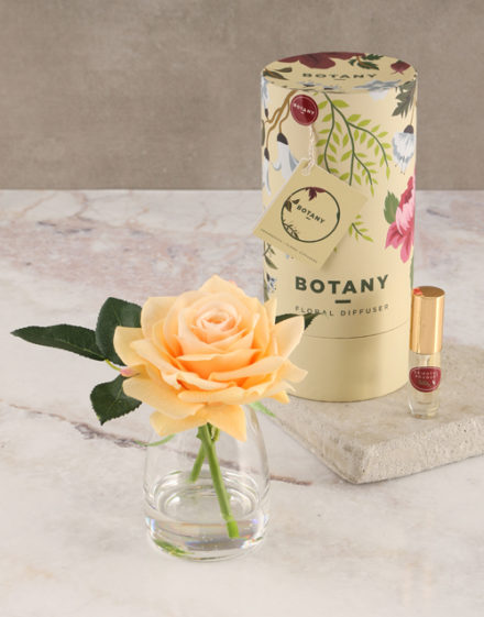 mothers-day Botany Small Peach Silk Rose Diffuser