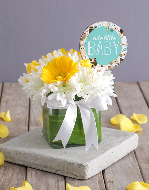 baby Cute Little Baby Square Vase