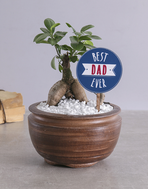 fathers-day Best Dad Bonsai