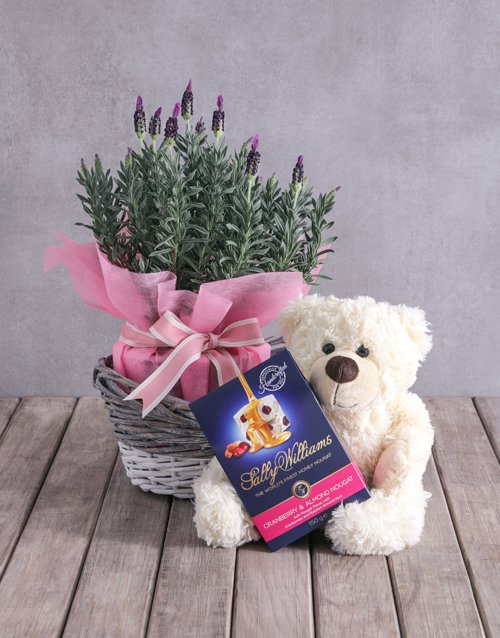baby Teddy Bear Lavender Basket