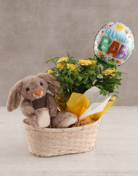 baby Teddy Rabbit and Yellow Rose Bush