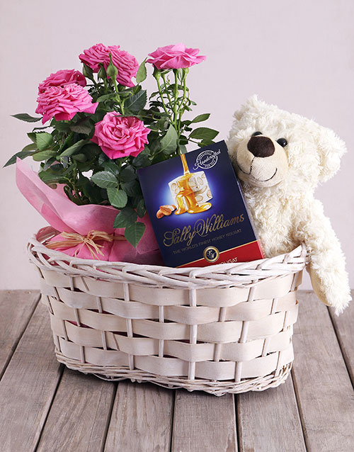 roses Roses and Cuddles Gift Basket