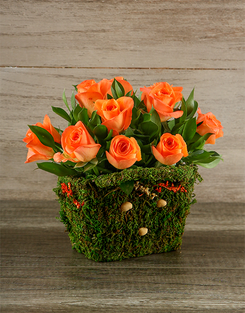 Orange Roses in Moss Basket