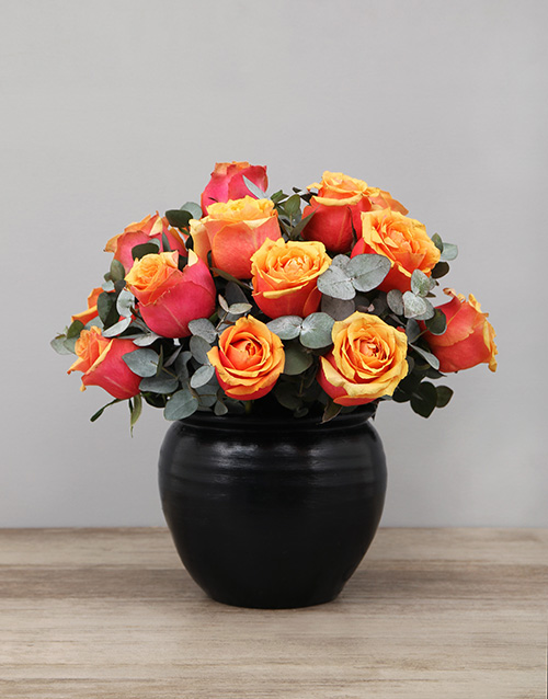 roses Cherry Brandy Roses in Black Ceramic Pot