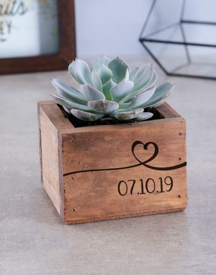 birthday Personalised Special Day Succulent