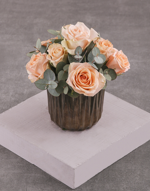 roses Peach Roses in Bronze Vase