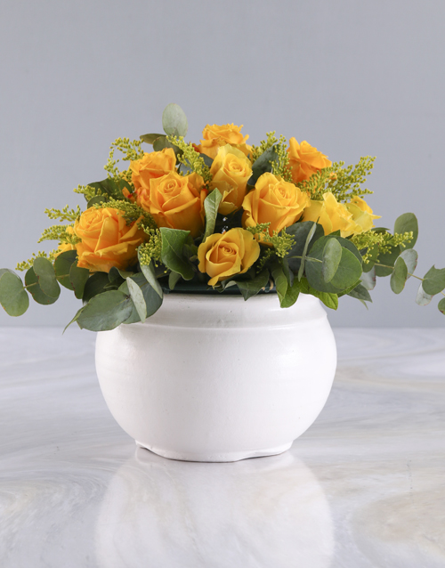 roses Radiant Yellow Roses in White Pot