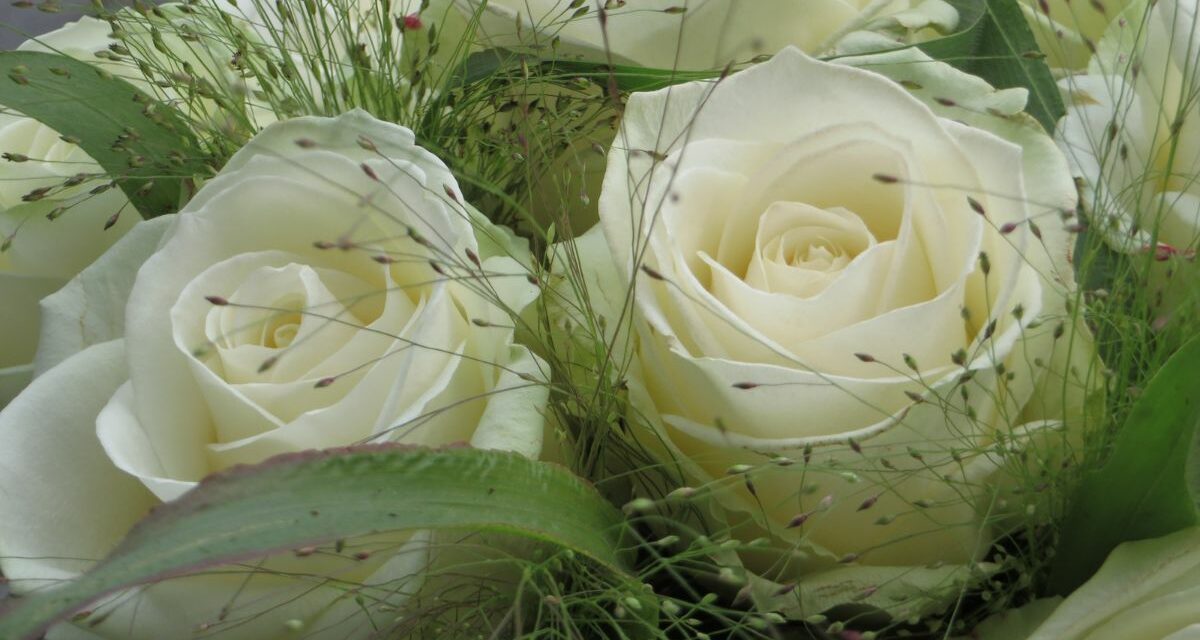 Best Flowers for Condolences 2024: Express Your Sympathy