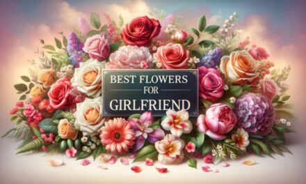Best Flowers for a Girlfriend 2024: Unforgettable Surprise Guide